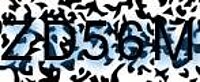 grafischer Sicherheitscode