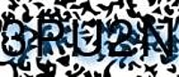 grafischer Sicherheitscode