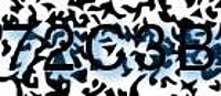 grafischer Sicherheitscode